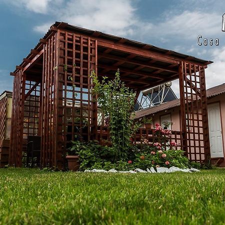 Casa Ana Maria Villa Vama Veche Bagian luar foto