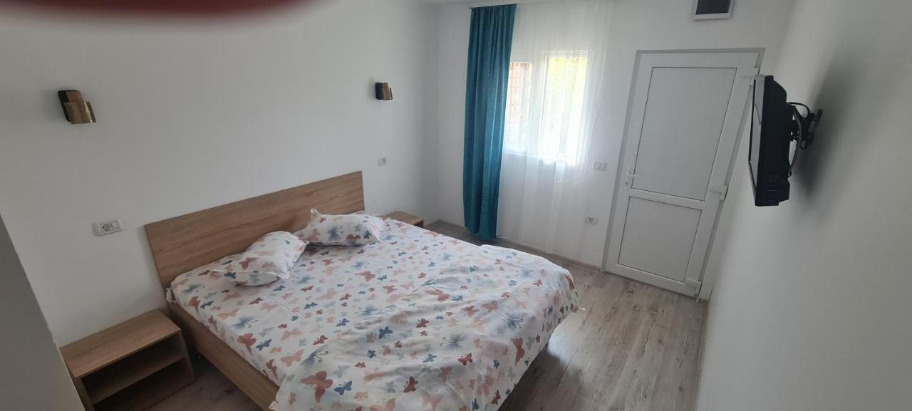 Casa Ana Maria Villa Vama Veche Bagian luar foto