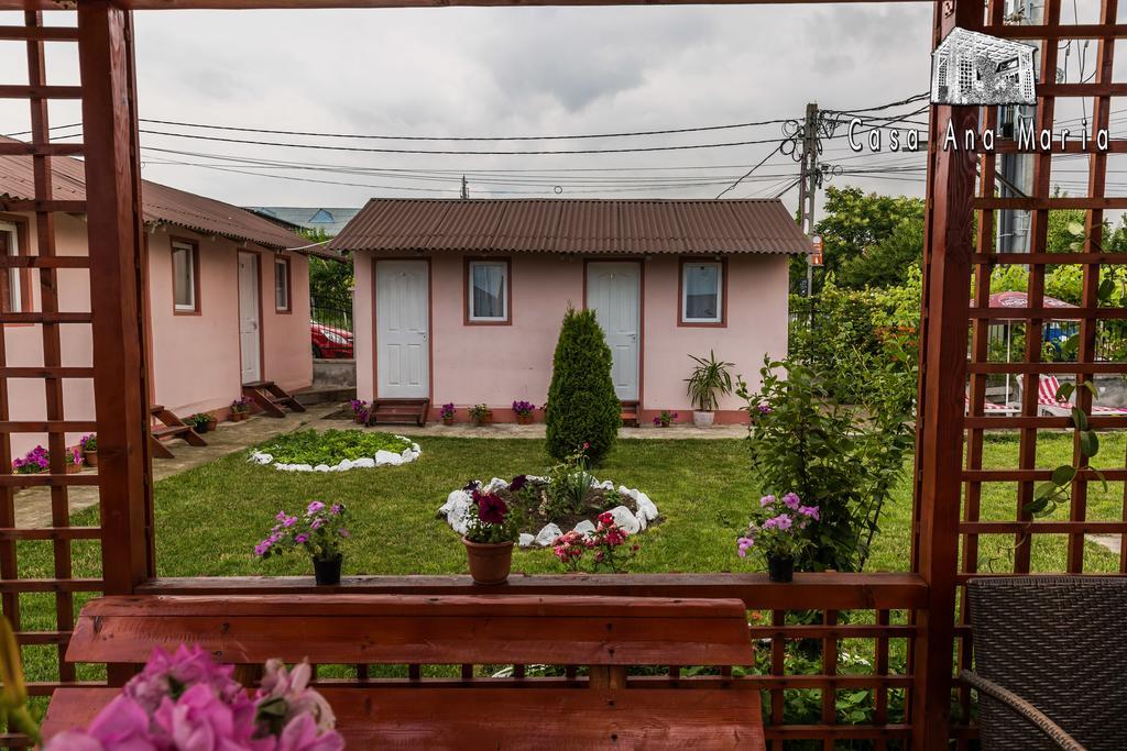 Casa Ana Maria Villa Vama Veche Bagian luar foto