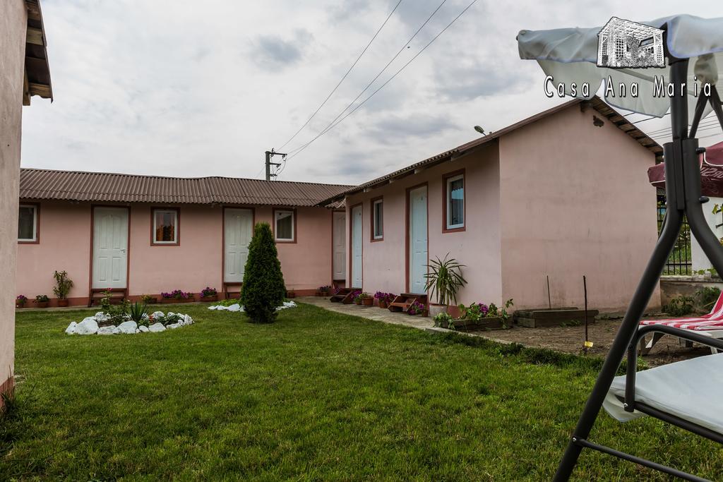 Casa Ana Maria Villa Vama Veche Bagian luar foto