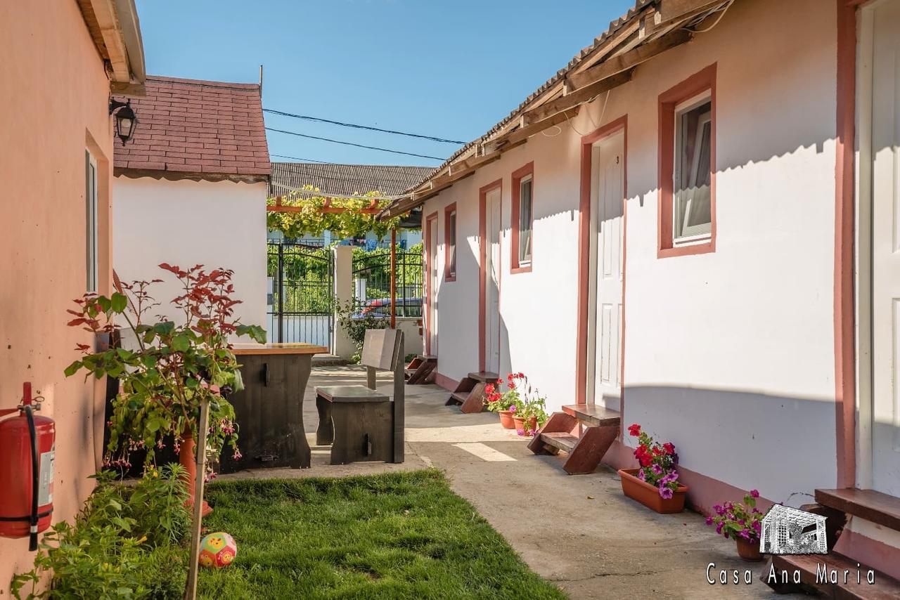 Casa Ana Maria Villa Vama Veche Bagian luar foto