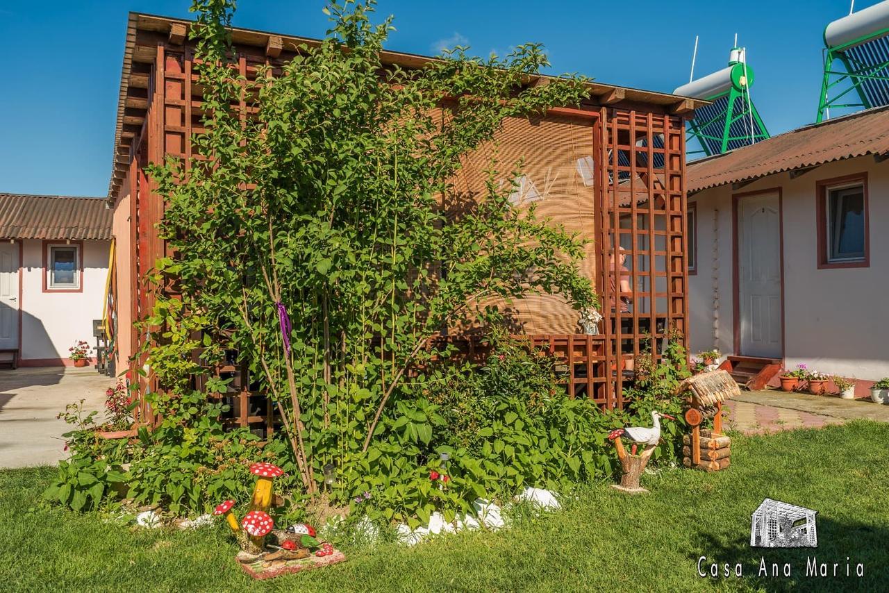 Casa Ana Maria Villa Vama Veche Bagian luar foto