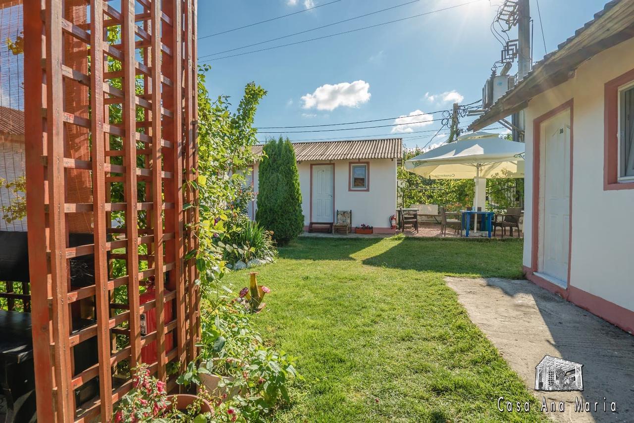 Casa Ana Maria Villa Vama Veche Bagian luar foto