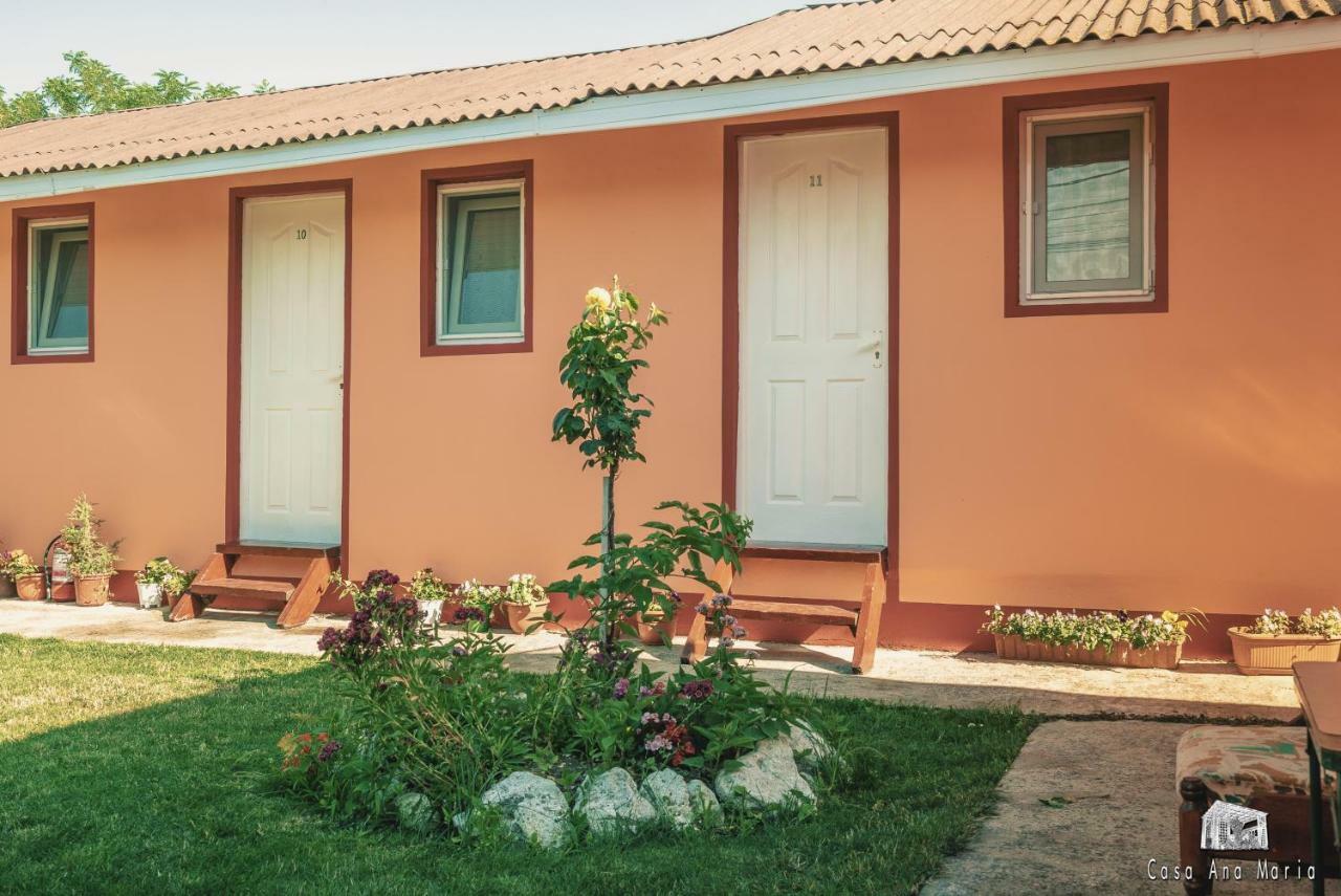 Casa Ana Maria Villa Vama Veche Bagian luar foto