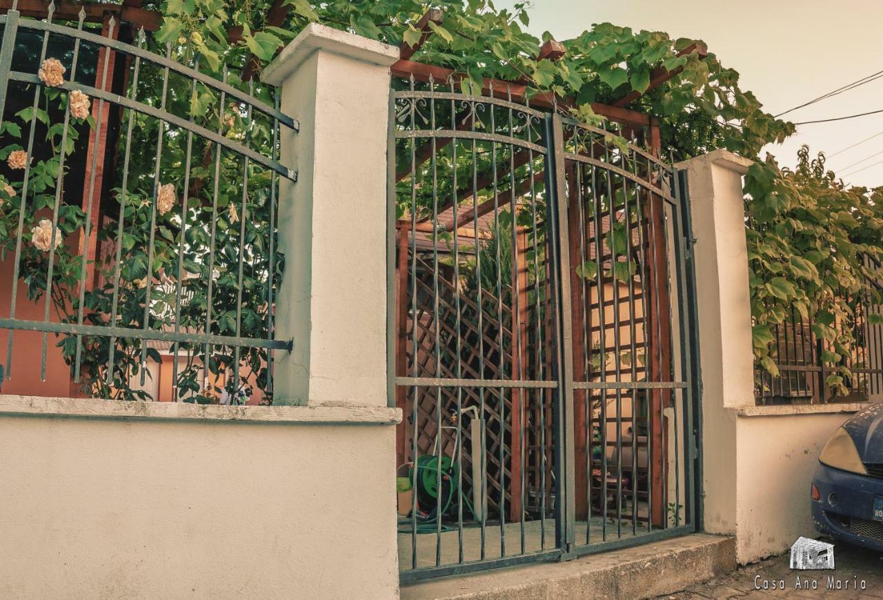 Casa Ana Maria Villa Vama Veche Bagian luar foto